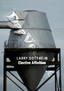 Larry Gottheim : Elective Affinities Collection | Horizons / Mouches Volantes / Four Shadows / Tree of Knowledge  |   DVD
